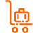 Transfer & Baggage Support