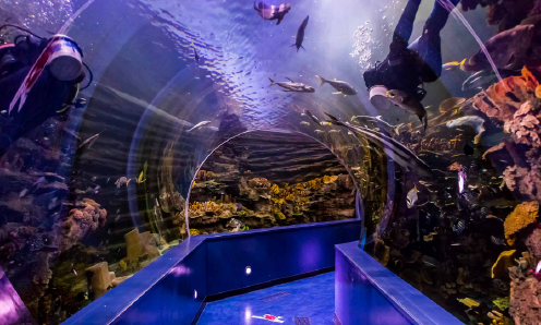 SHARJAH AQUARIUM